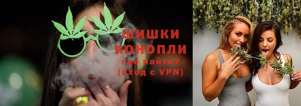 дмт Дмитров