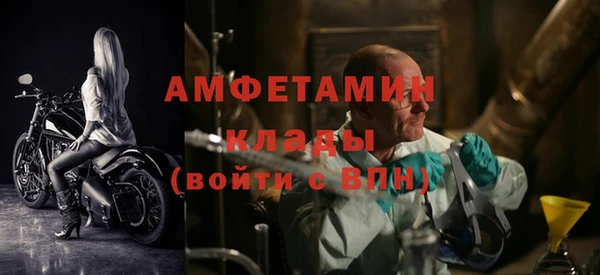 дмт Дмитров
