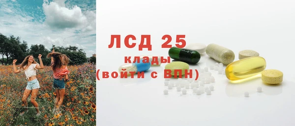 дмт Дмитров