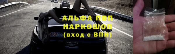 дмт Дмитров