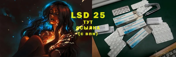 дмт Дмитров