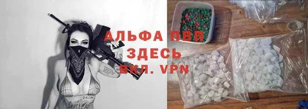 дмт Дмитров