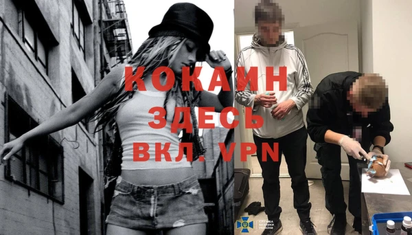 винт Костерёво