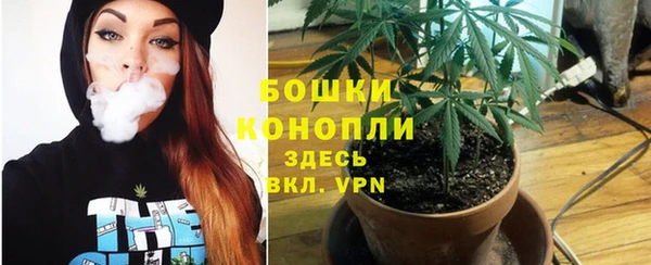 не бодяженный Дмитриев