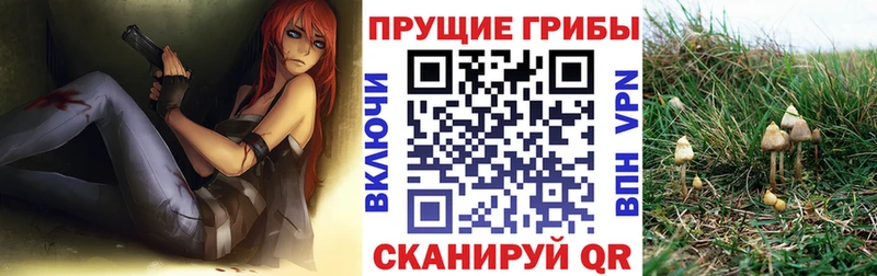 OMG сайт  Пестово  Галлюциногенные грибы прущие грибы 